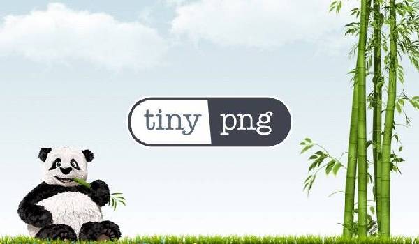 Tiny PNG